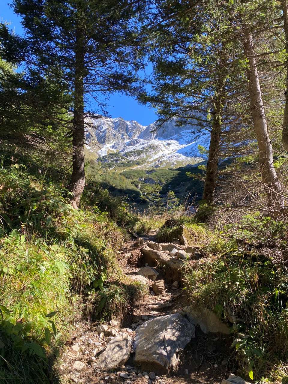 Bilkengrat patikası