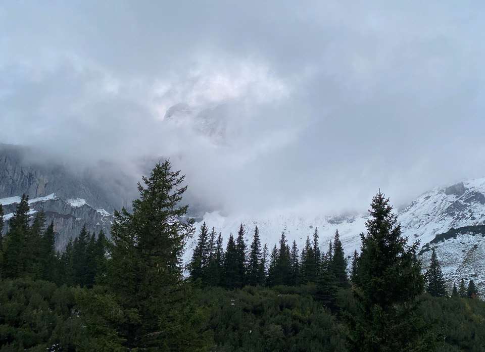 Lindauerhütte’nin bulunduğu orman