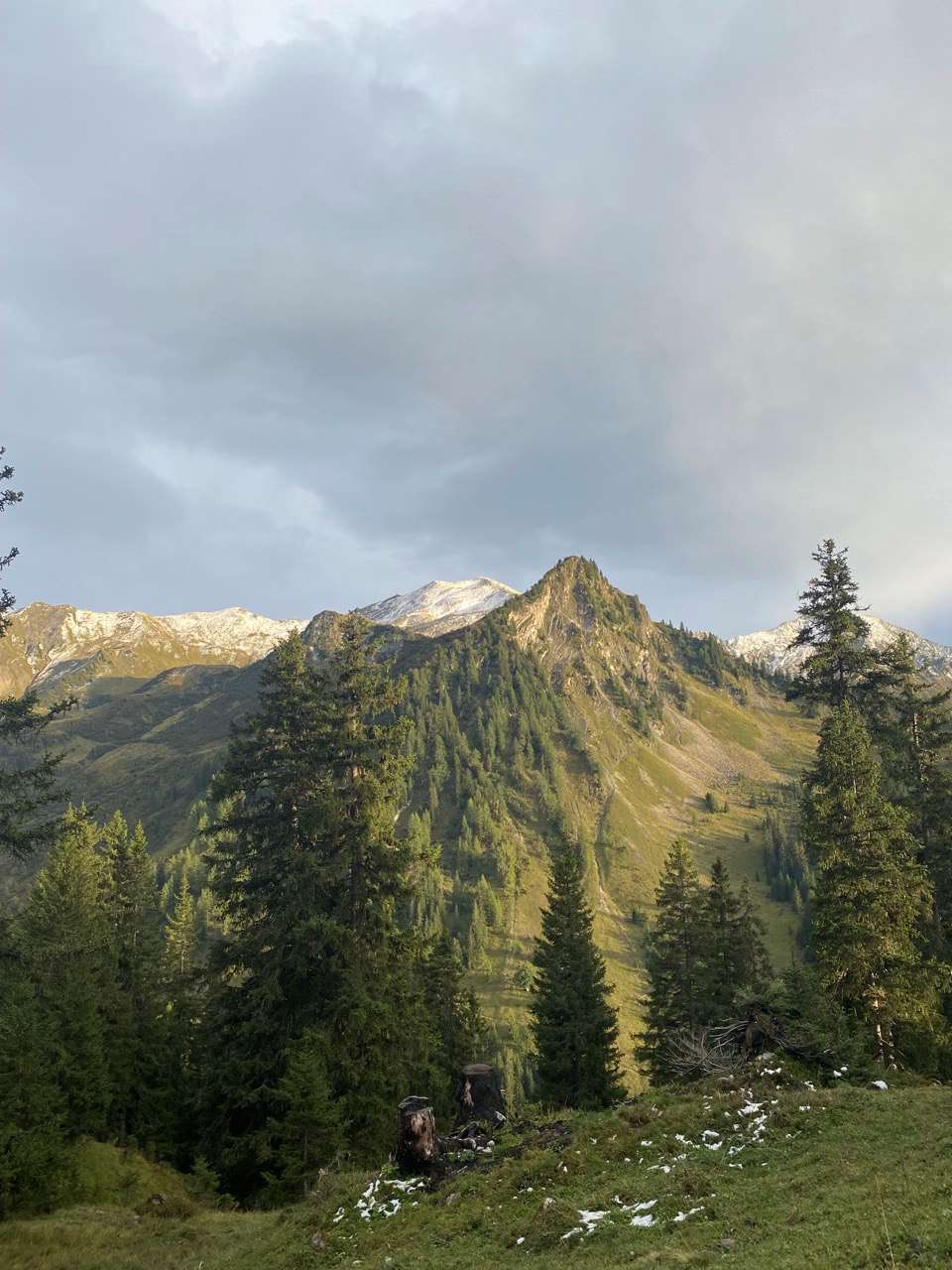Vordersäss ile Schesaplanahütte arasındaki patikadan Sassauna’ya bakış (Chrüzbleis koruma alanı - Ladin ve köknar-ladin ormanları (Fichten- und Tannen-Fichtenwälder))
